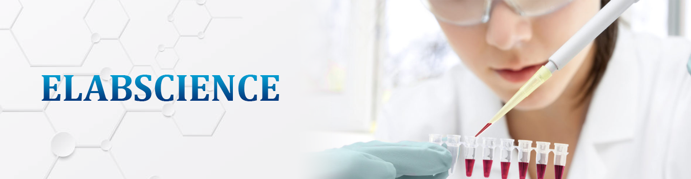 Elabscience Distributor in Rajasthan