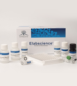Elabscience Elisa Kit