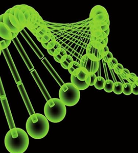 Takara Gene Function