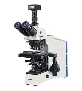 Dewinter Life Science Microscopes