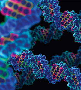 Molecular Biology