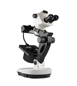 Dewinter Stereo Zoom Microscopes