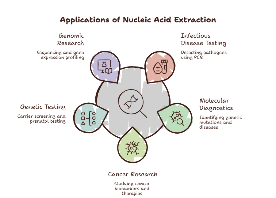 Applications of Nucleic Acid Extraction in Molecular Diagnostics