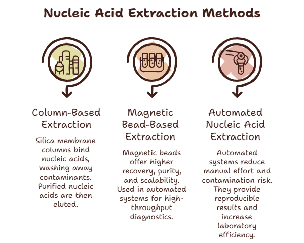 Methods of Nucleic Acid Extraction