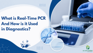 What is Real-Time PCR and How is it Used in Diagnostics?