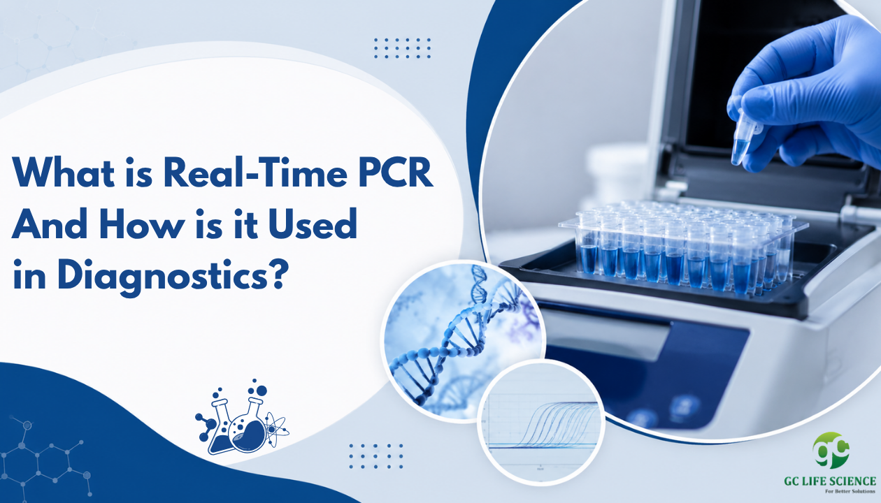 What is Real-Time PCR and How is it Used in Diagnostics?