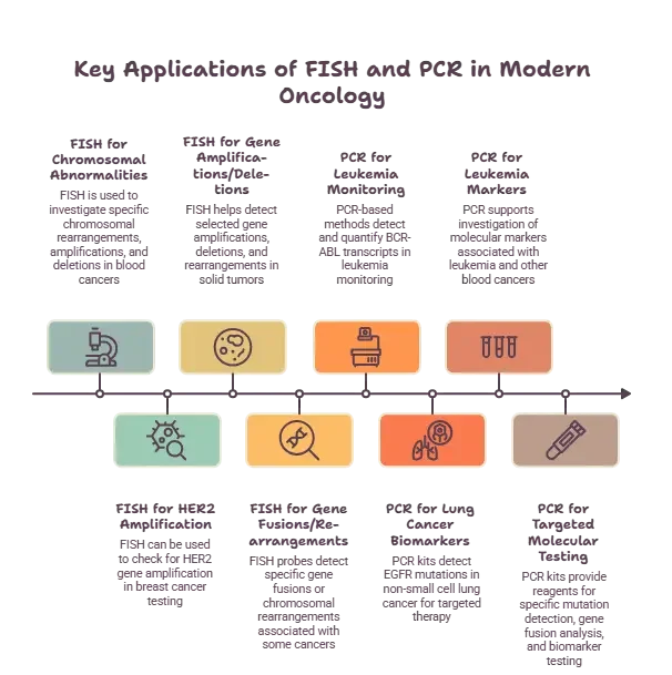 Applications of FISH in Modern Oncology 