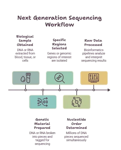 How Does Next Generation Sequencing Work?